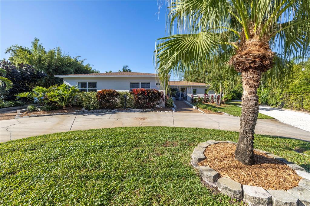 A single-story house with a concrete driveway and a palm tree in the front yard — 610 CORDOVA BOULEVARD NE, ST PETERSBURG, FL
