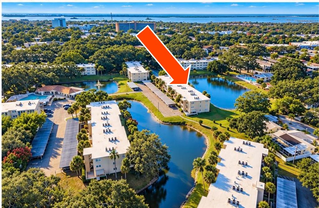 936 VIRGINIA STREET UNIT 306, DUNEDIN, FL — photo 2 of 92