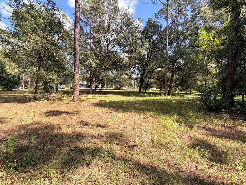 A grassy, wooded lot features scattered tall pine and oak trees under a blue sky — BONSMARA DRIVE, GROVELAND, FL
