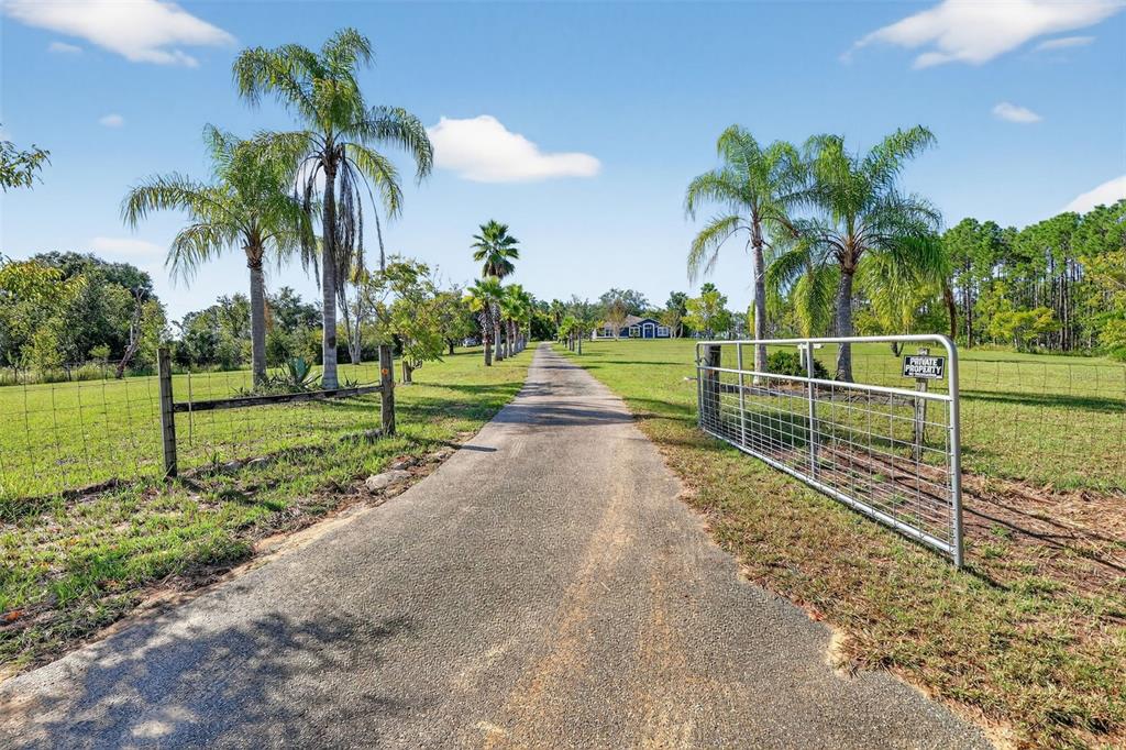 A long paved driveway leads toward a house through a gated entrance with palm trees — 14520 LOST LAKE ROAD, CLERMONT, FL