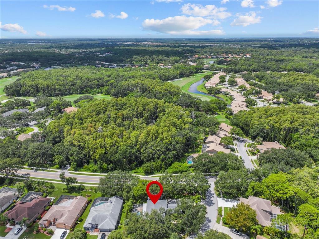 An aerial view shows a residential house with a red location pin amidst lush trees — 2328 WARWICK DRIVE, OLDSMAR, FL