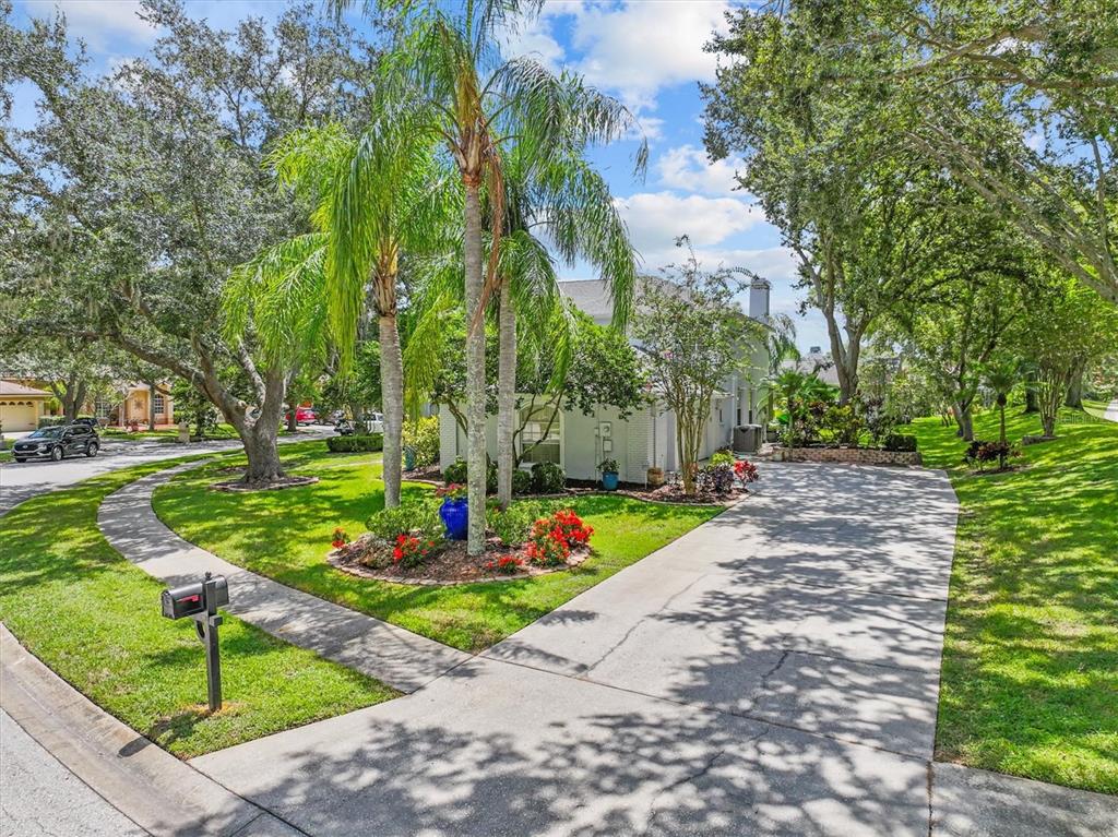 A concrete driveway leads to a white house surrounded by palm trees and green lawns — 2328 WARWICK DRIVE, OLDSMAR, FL