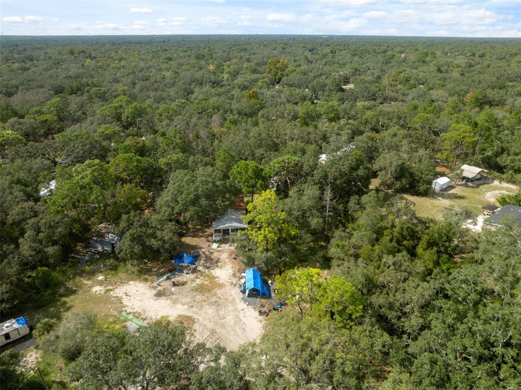 An aerial view shows a house nestled in a dense forest with a sandy driveway — 17221 NICKS DRIVE, SPRING HILL, FL