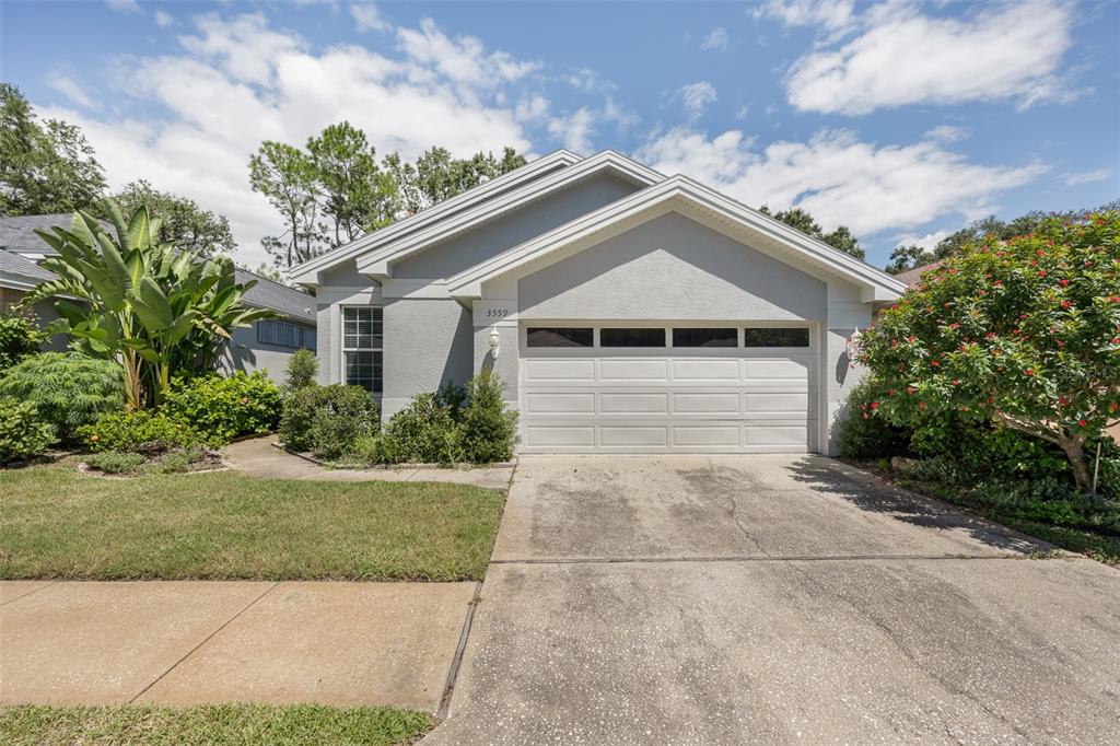 3559 SYLVAN EDGE DRIVE, PALM HARBOR, FL — photo 2 of 30