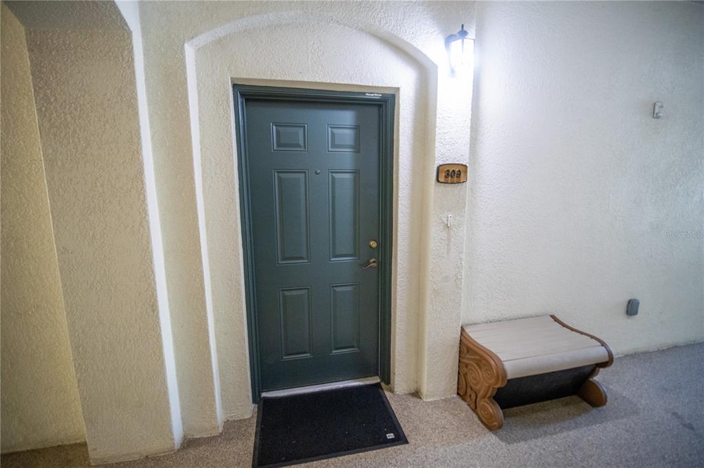 A dark green front door with a number plate sits in a recessed entryway — 8180 BOAT HOOK LOOP UNIT 102, WINDERMERE, FL