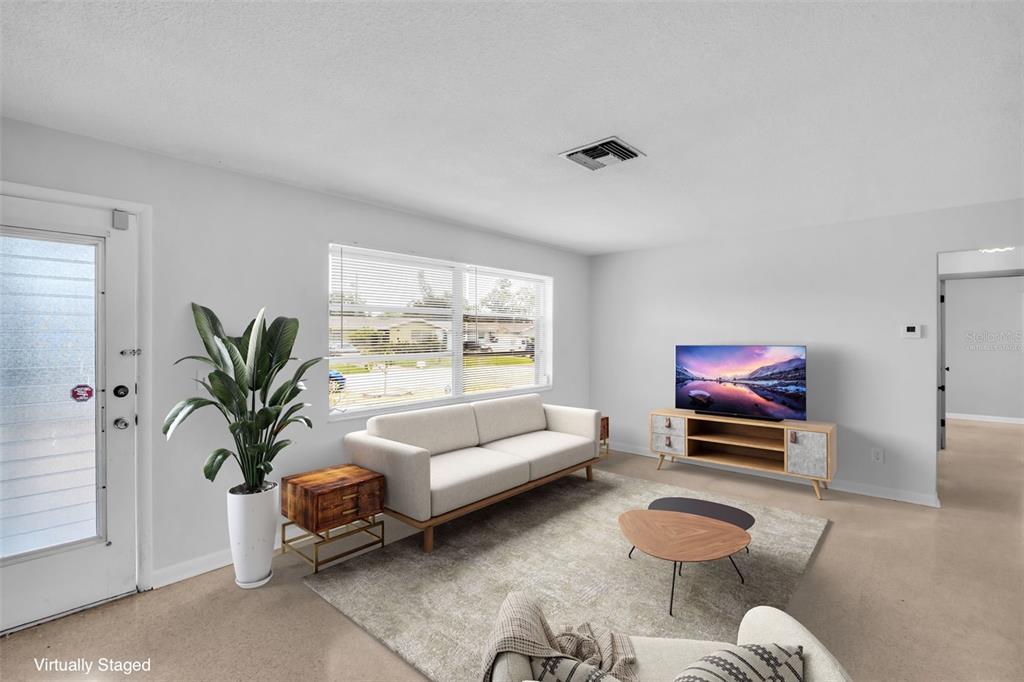 A living room with a sofa, television, and area rug features light walls and flooring — 2301 WHITMAN STREET, CLEARWATER, FL