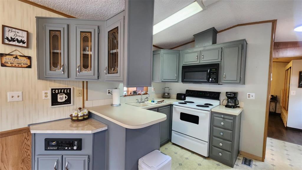 A kitchen features grey cabinets, white appliances, a peninsula countertop, and wood-paneled walls — 9 LONG HAMMOCK DRIVE, RIVER RANCH, FL