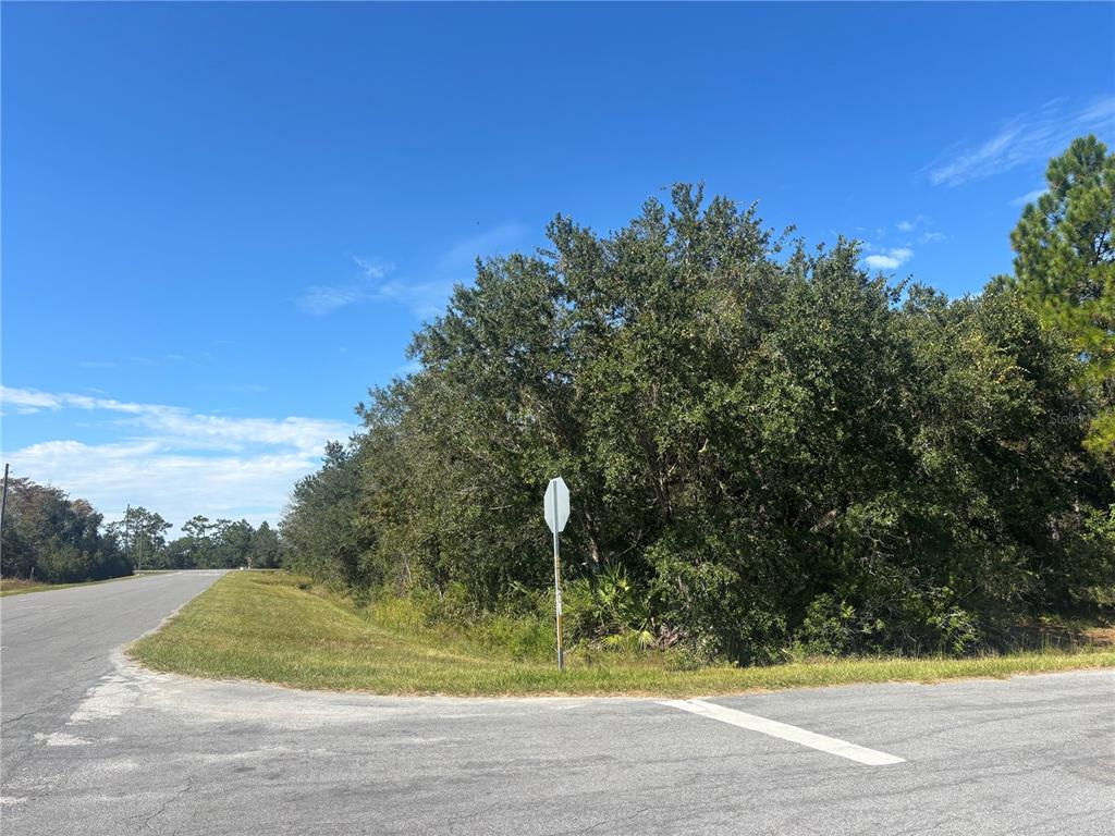 CORONET AVENUE