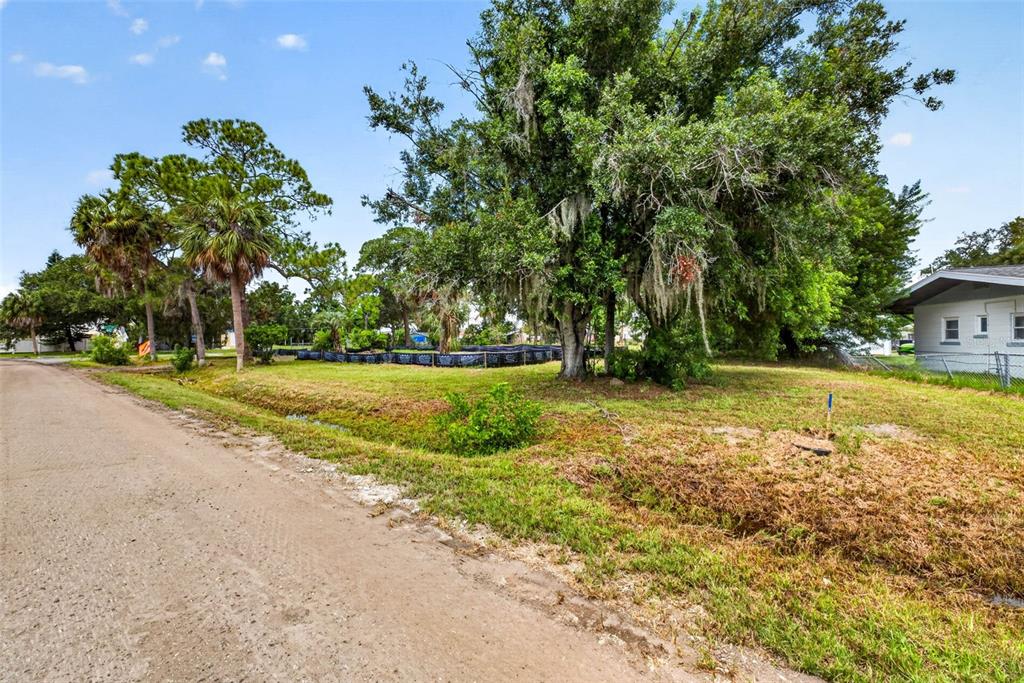 A dirt road runs alongside a grassy lot with large trees and a nearby house — 409 1ST AVENUE NW, RUSKIN, FL