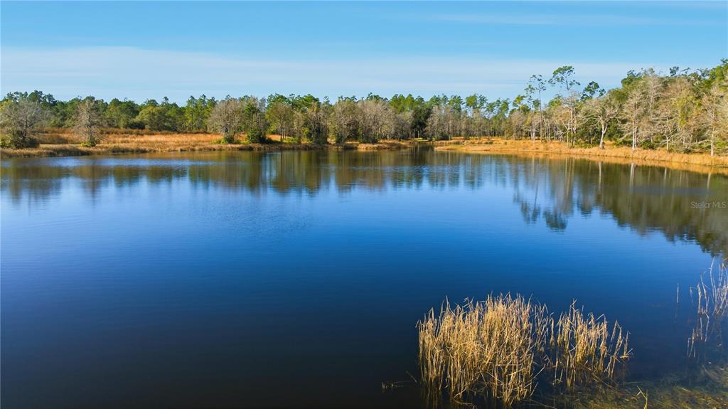 A calm lake surrounded by trees and tall grasses under a clear blue sky — TBD (Lot 3) NE 115TH LANE ROAD, FORT MC COY, FL