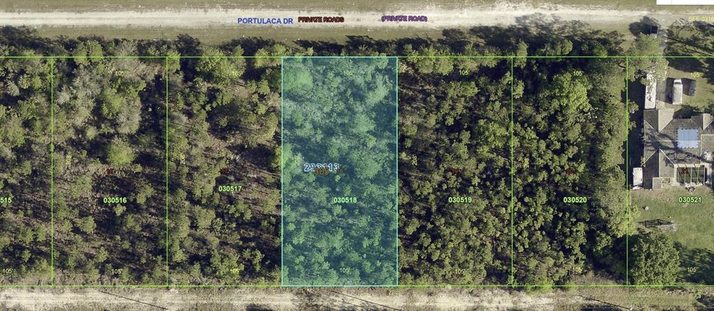 1013 PORTULACA DRIVE, INDIAN LAKE ESTATES, FL — photo 3 of 30