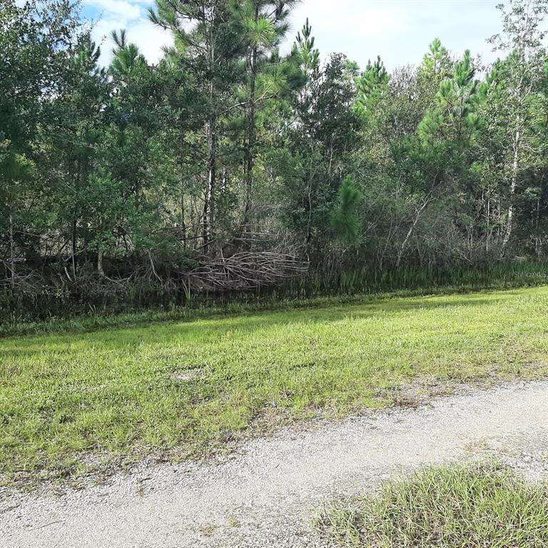 1013 PORTULACA DRIVE, INDIAN LAKE ESTATES, FL — photo 4 of 30