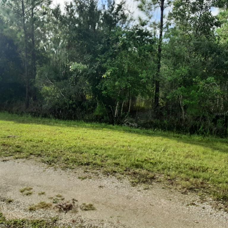 1013 PORTULACA DRIVE, INDIAN LAKE ESTATES, FL — photo 5 of 30