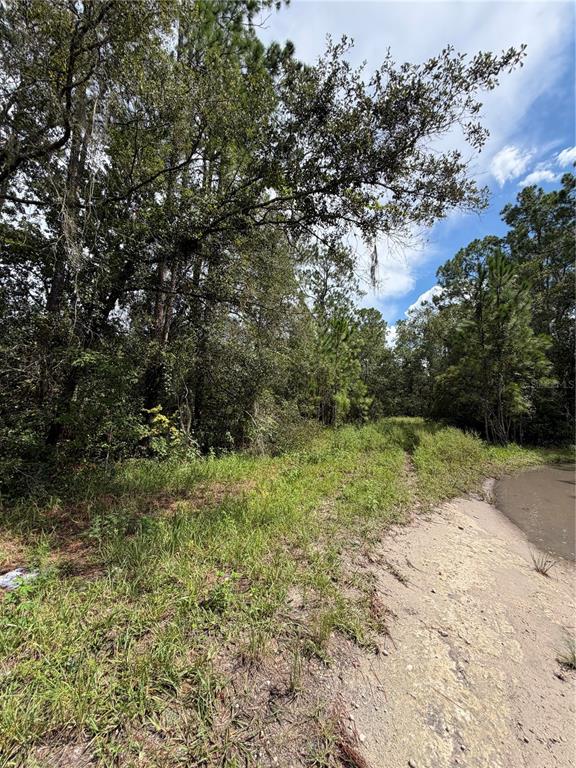 1746 COUNTRY WOODS DRIVE