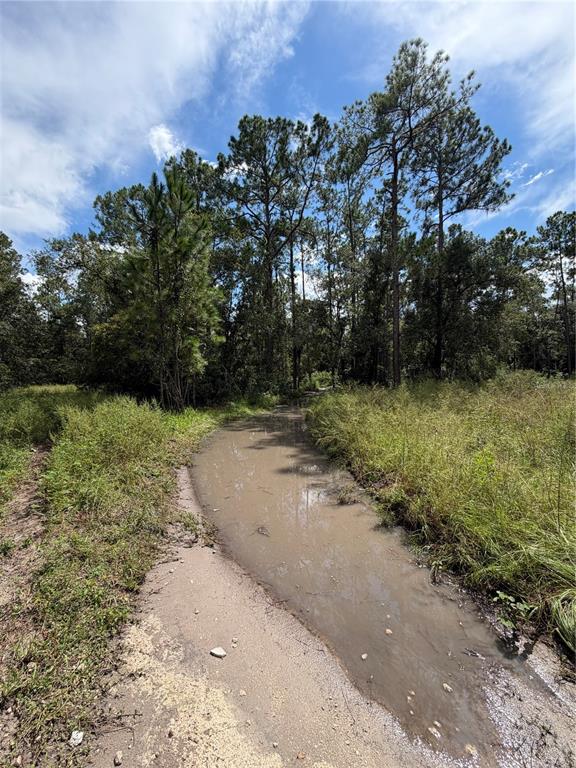 1746 COUNTRY WOODS DRIVE, LAKELAND, FL — photo 2 of 6