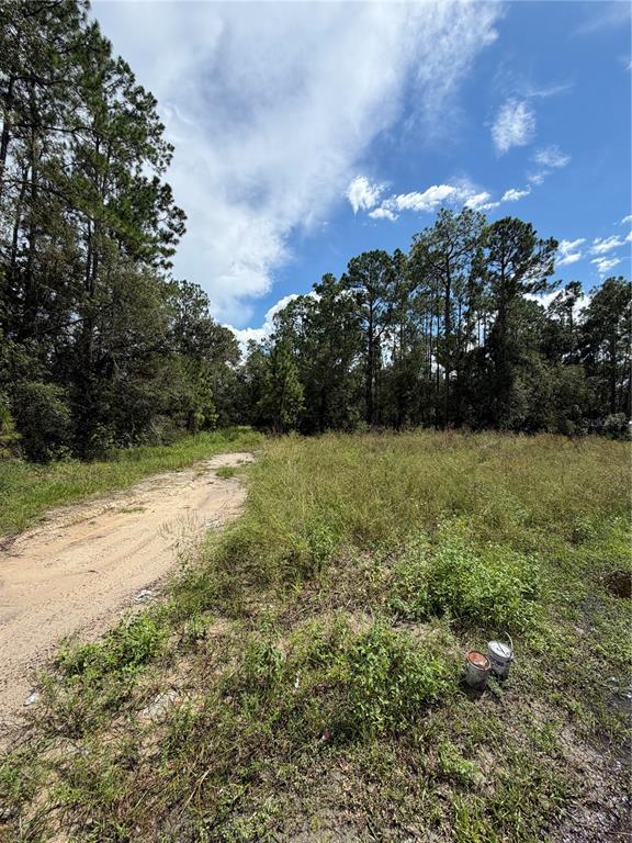 1746 COUNTRY WOODS DRIVE, LAKELAND, FL — photo 3 of 6