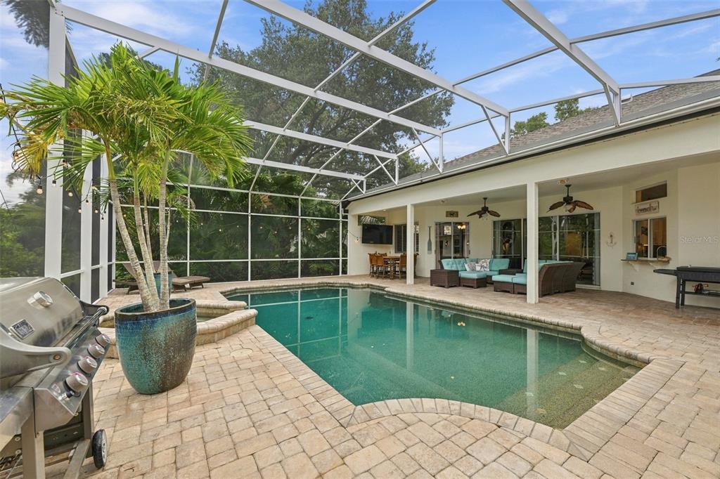 3921 ARLINGTON DRIVE, PALM HARBOR, FL — photo 2 of 30