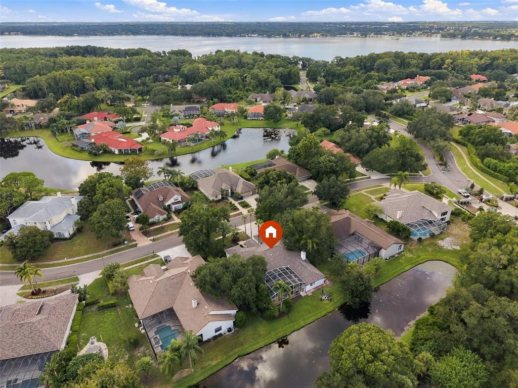 3921 ARLINGTON DRIVE, PALM HARBOR, FL — photo 5 of 30