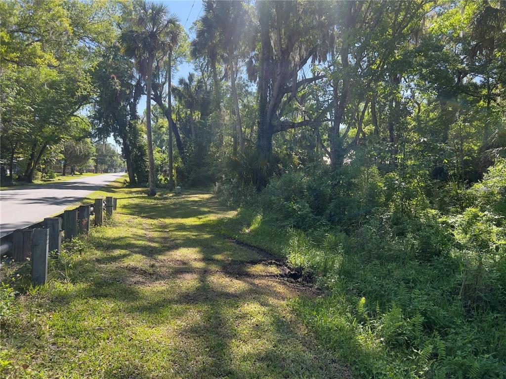 A grassy roadside area with a wooden guardrail borders a dense, wooded forest — 450 NW CRYSTAL STREET, CRYSTAL RIVER, FL