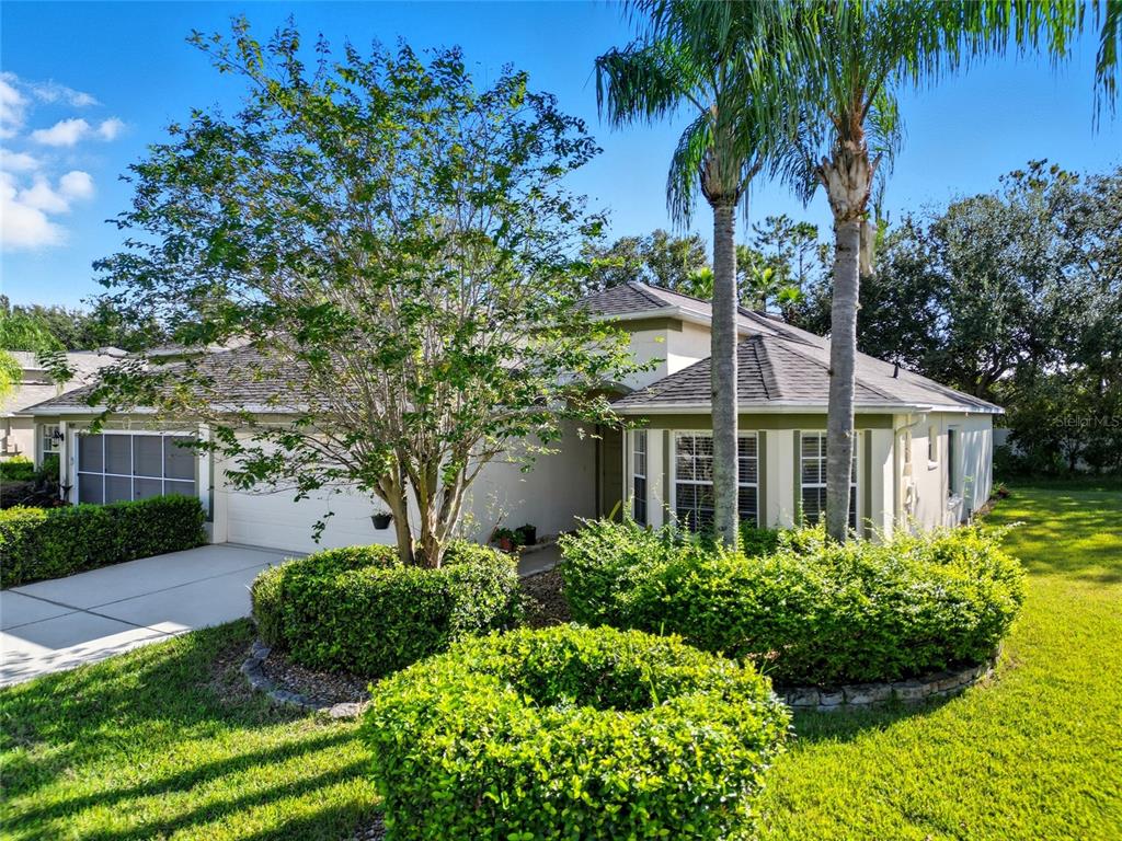 A single-story house with a garage, palm trees, and manicured hedges in the front yard — 9427 ROLLING CIRCLE, SAN ANTONIO, FL