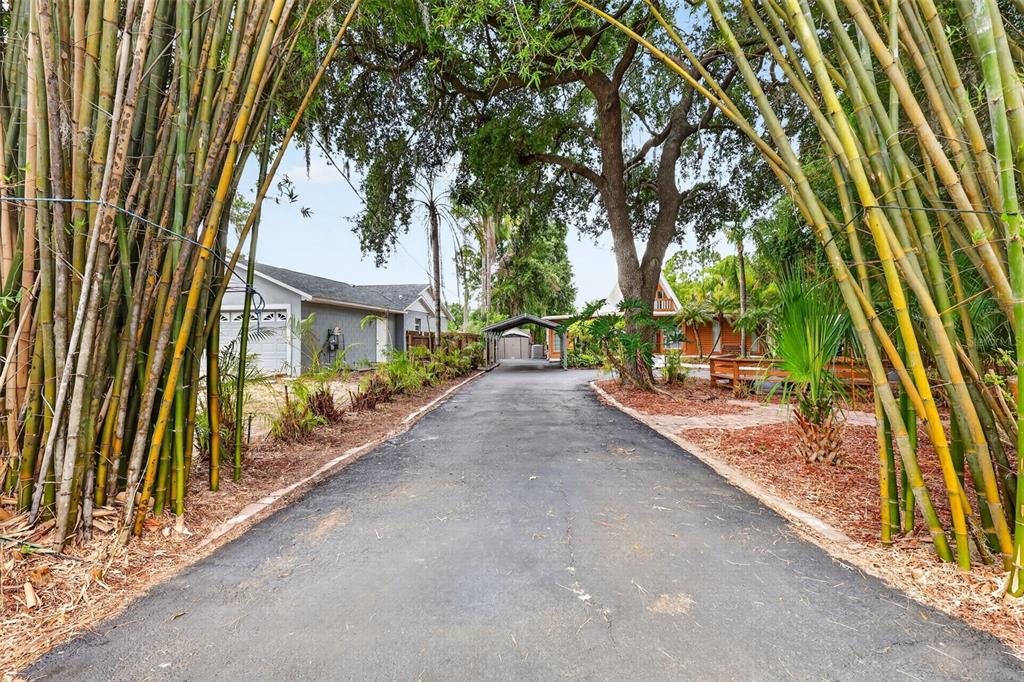 A long asphalt driveway leads toward a house with a carport framed by tall bamboo — 507 LAKESHORE DRIVE, EUSTIS, FL