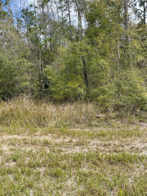 14139 PIGEON ROAD