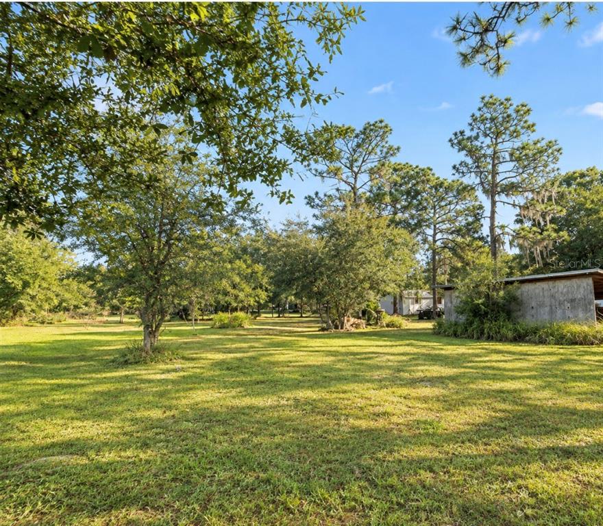1533 TIGER LAKE ROAD, LAKE WALES, FL — photo 3 of 12