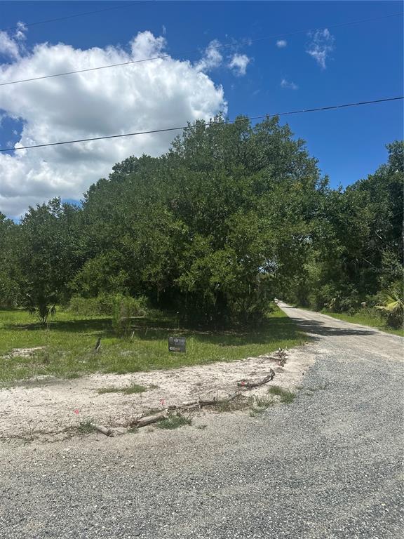 A gravel road runs alongside a grassy lot featuring a large tree and a sign — 10828 E FREDDY STREET, INVERNESS, FL