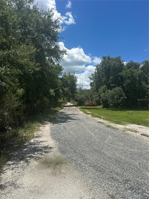 A gravel road leads through a wooded area with a red car parked on the right — 10828 E FREDDY STREET, INVERNESS, FL