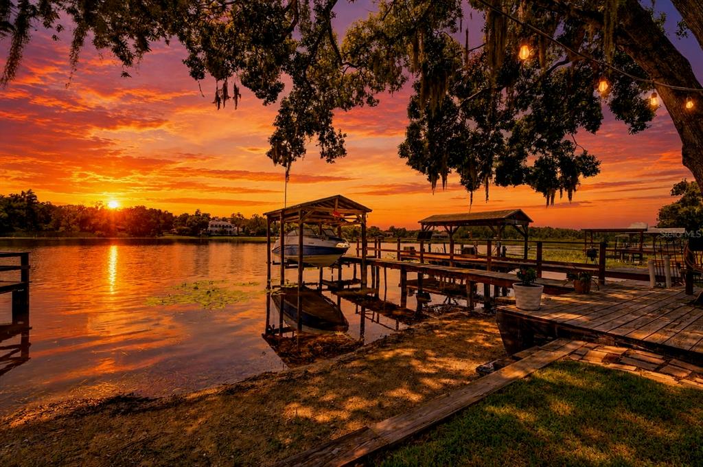 303 W CHAPMAN ROAD, LUTZ, FL — photo 4 of 30