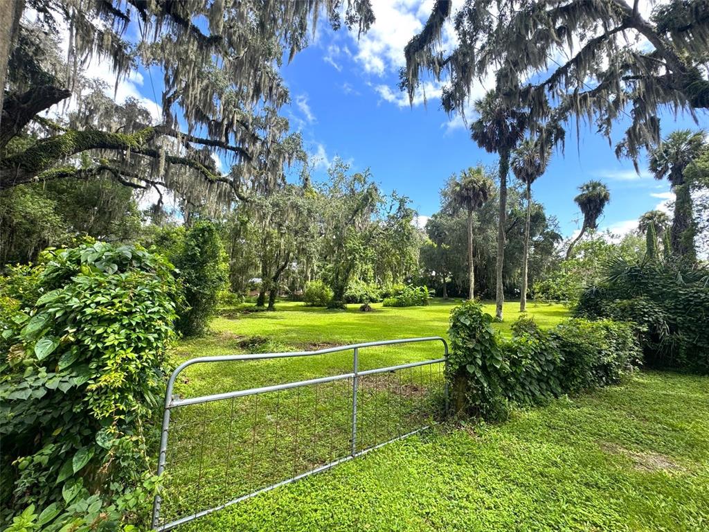 TBD AVENUE H, MC INTOSH, FL — photo 4 of 24