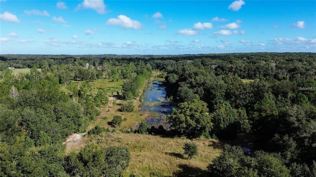 An aerial view shows a grassy field with a central pond surrounded by dense forest — TREE FROG LOT 6 LANE, EUSTIS, FL