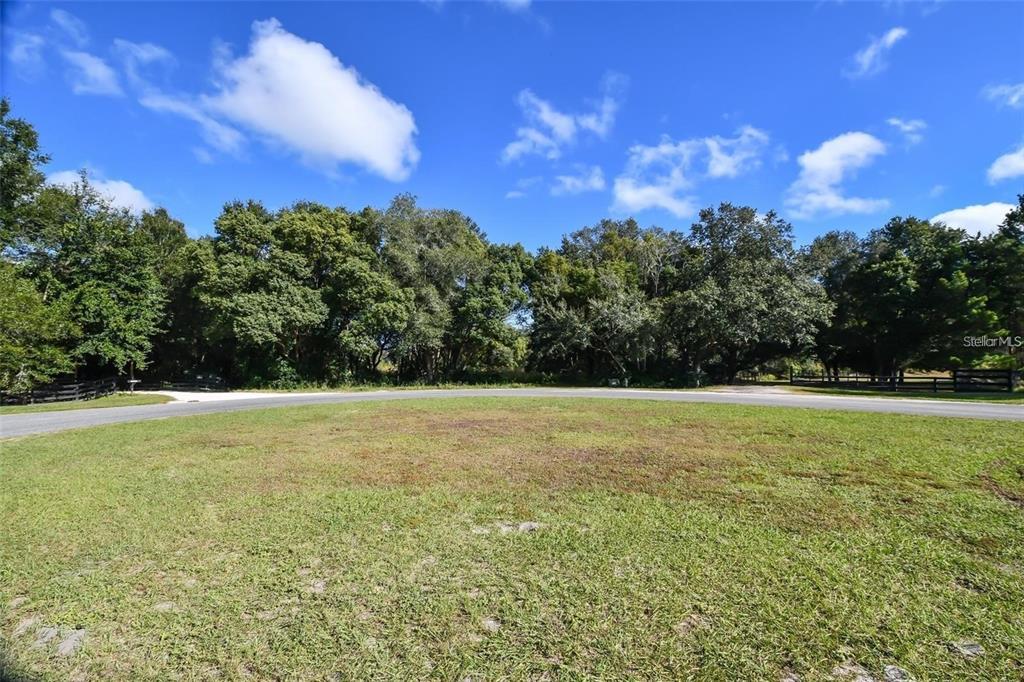 A grassy lot sits in front of a curved road lined with mature trees — TREE FROG LOT 6 LANE, EUSTIS, FL