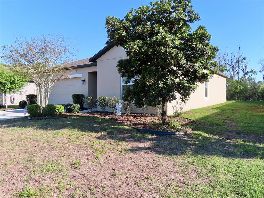 A tan, single-story house with a large tree in the front yard — 13149 CONQUISTADOR LOOP, SPRING HILL, FL