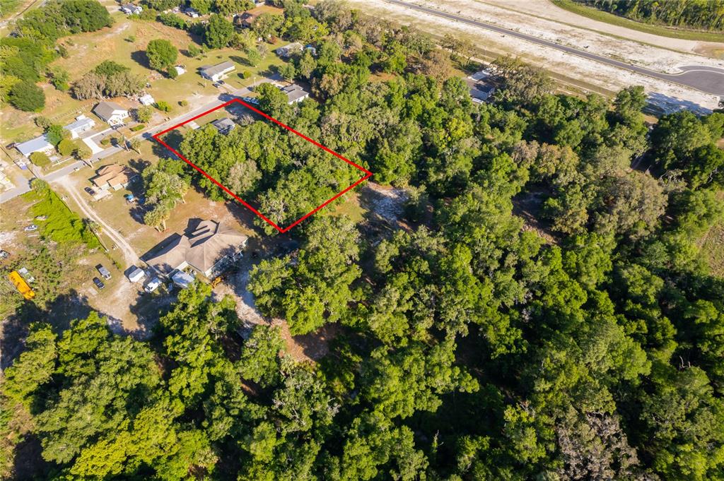 An aerial view shows a rectangular plot of land outlined in red amidst wooded surroundings — 38638 MARSHALL STREET, UMATILLA, FL
