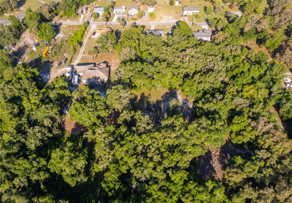 An aerial view shows a house surrounded by dense trees and a large grassy yard — 38638 MARSHALL STREET, UMATILLA, FL
