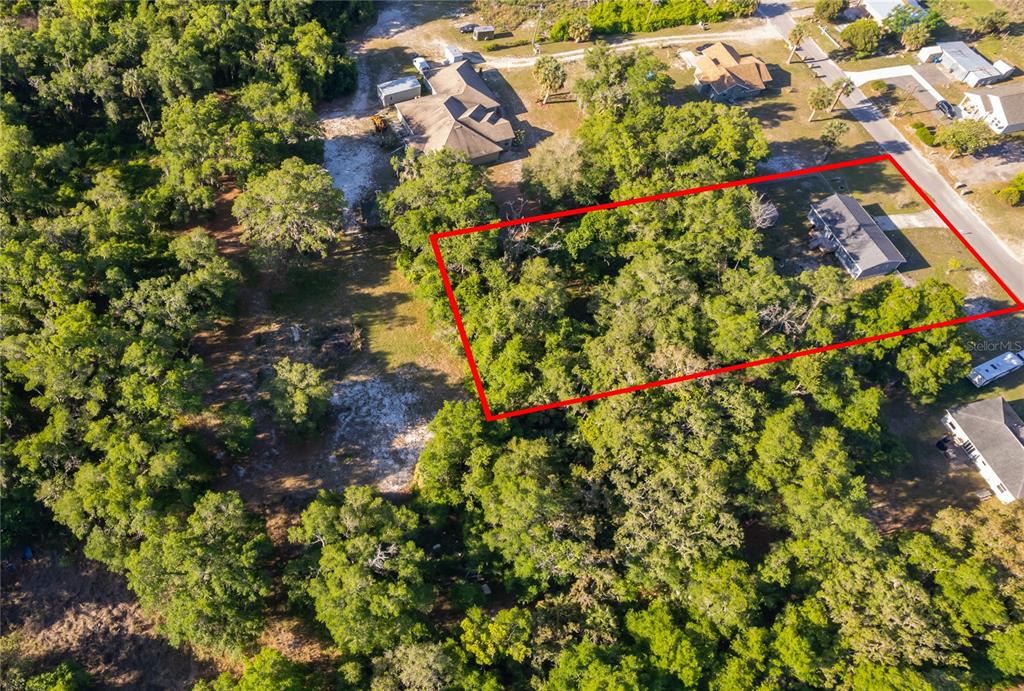 An aerial view shows a rectangular property outlined in red containing a house and trees — 38638 MARSHALL STREET, UMATILLA, FL