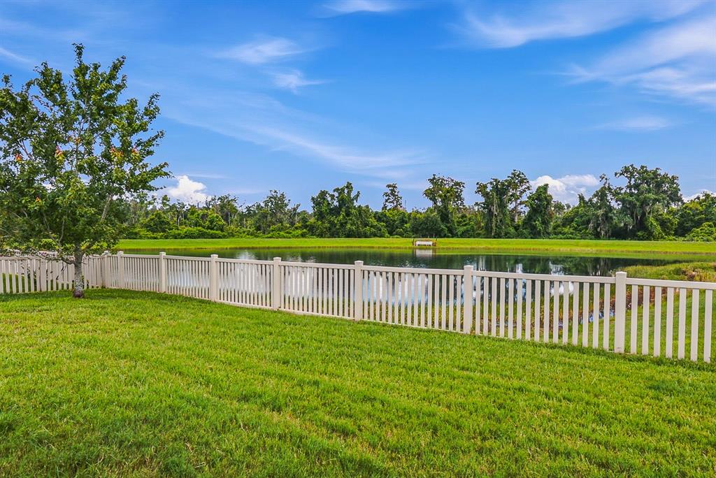 A white vinyl fence borders a grassy backyard overlooking a pond and a line of trees — 18515 CORTES CREEK BOULEVARD, SPRING HILL, FL