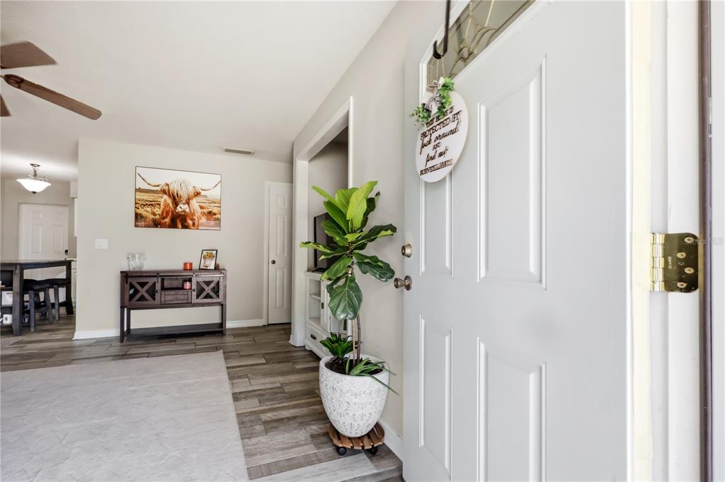 An entryway with a white door, a potted plant, and a view into a living area — 786 E WARREN AVENUE, LONGWOOD, FL