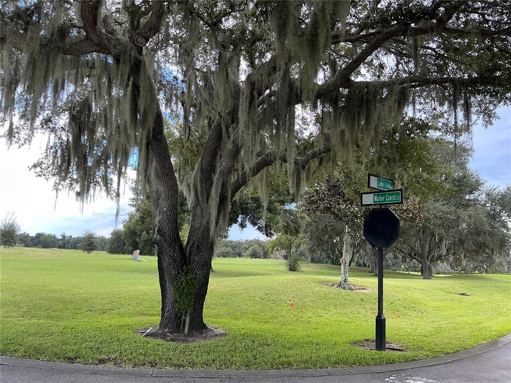 WATER CREST COURT, GROVELAND, FL — photo 3 of 29