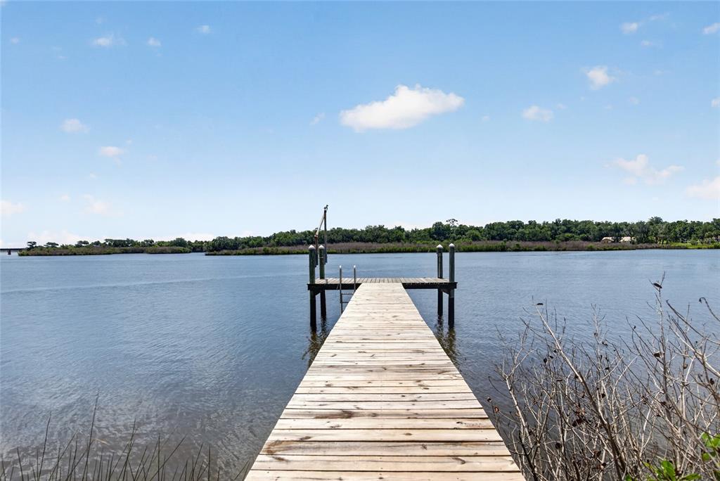 A backyard features a swimming pool with a spa, patio furniture, and lush landscaping — 6315 PALMAS BAY CIRCLE, PORT ORANGE, FL