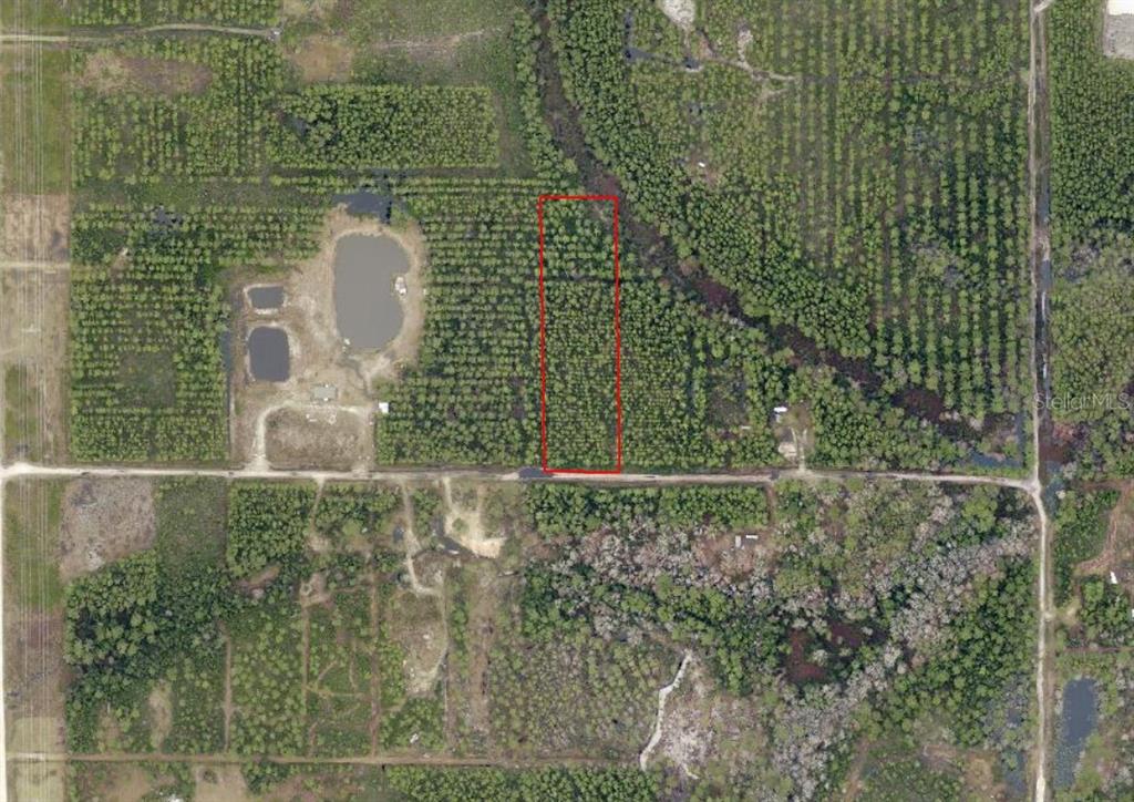 An aerial view shows a rectangular plot of land outlined in red within a forest — NE 215TH STREET, FORT MC COY, FL