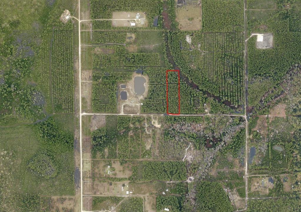 An aerial view shows a rectangular plot of land outlined in red amidst wooded terrain — NE 215TH STREET, FORT MC COY, FL