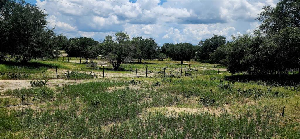 A grassy, partially wooded lot features scattered cacti and a wire fence under a cloudy sky — 562 LIBBY ROAD, BABSON PARK, FL
