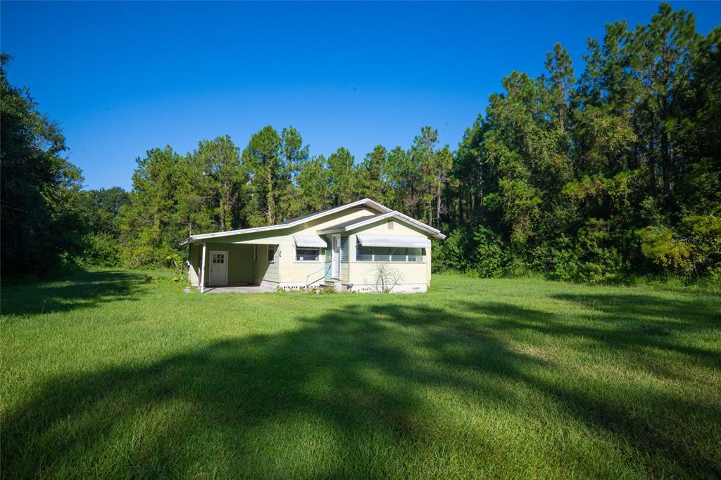 A light yellow single-story house with a carport sits in a large, grassy, wooded lot — 5151 DREXEL ROAD, LAND O LAKES, FL