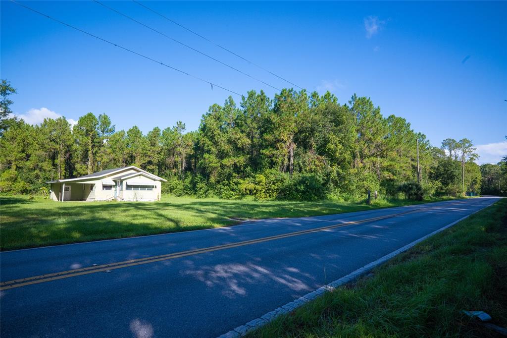 A single-story house sits on a grassy lot next to a paved road with trees — 5151 DREXEL ROAD, LAND O LAKES, FL