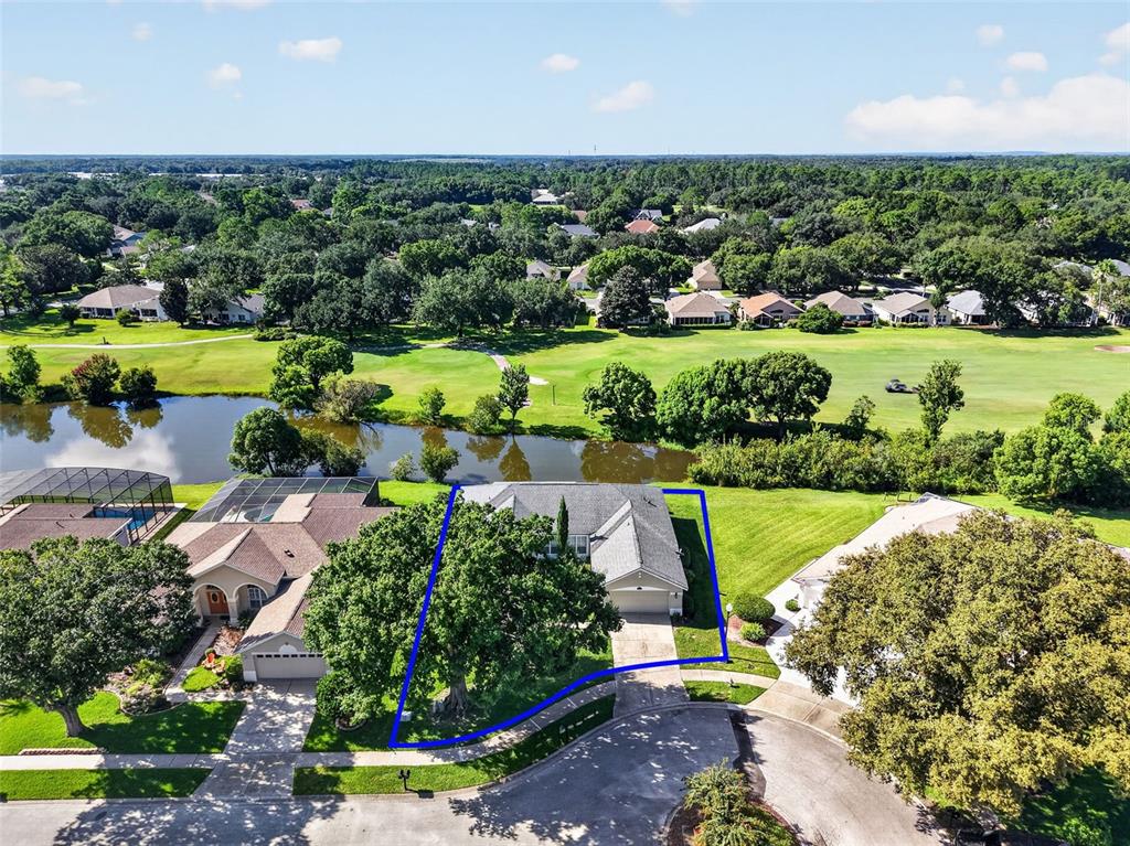 An aerial view shows a house with a blue outline, a large tree, and a pond — 6022 FALCONBRIDGE PLACE, MOUNT DORA, FL