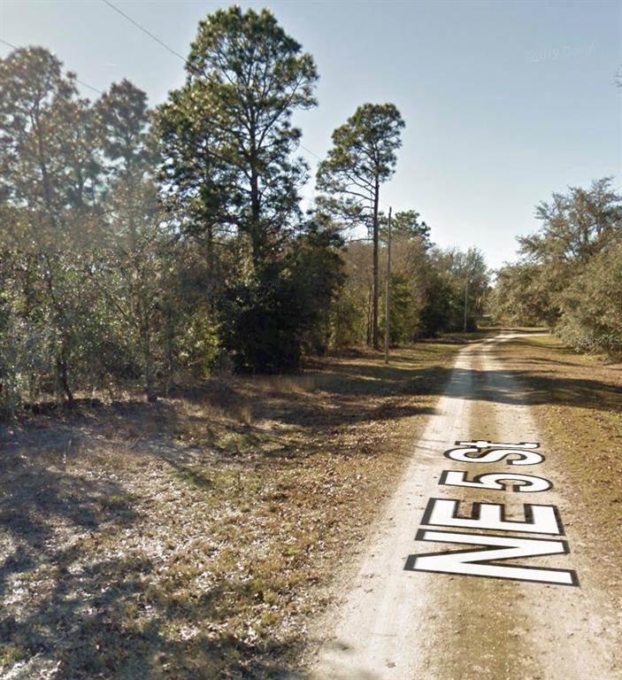 NE 5TH STREET, WILLISTON, FL — photo 3 of 8