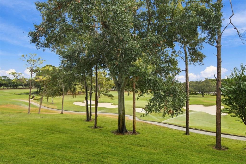 36750 US HIGHWAY 19 N UNIT 13217, PALM HARBOR, FL — photo 3 of 30