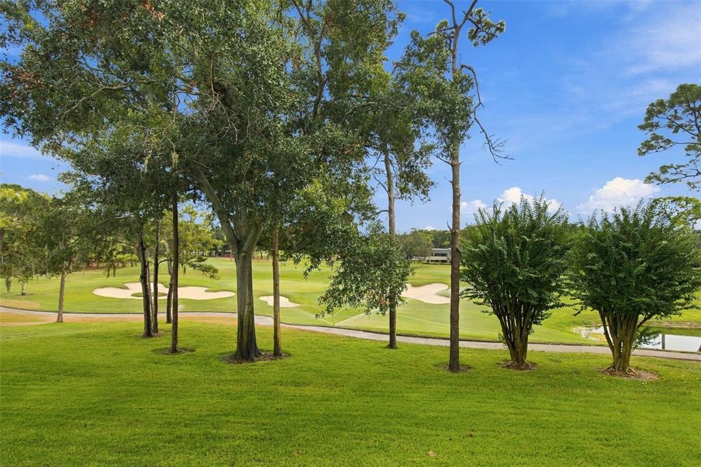 36750 US HIGHWAY 19 N UNIT 13217, PALM HARBOR, FL — photo 4 of 30